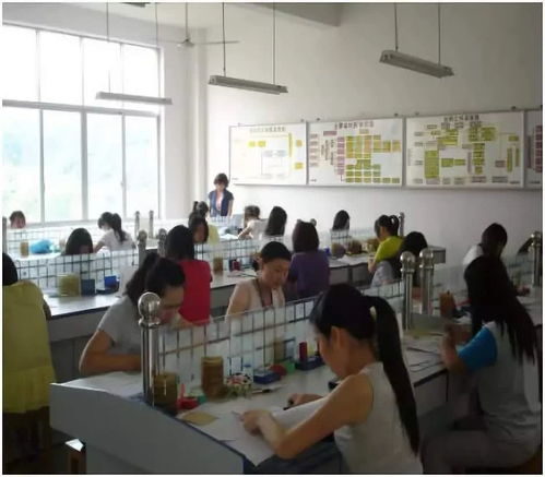 交通工程管理 連接未來與效率的專業選擇