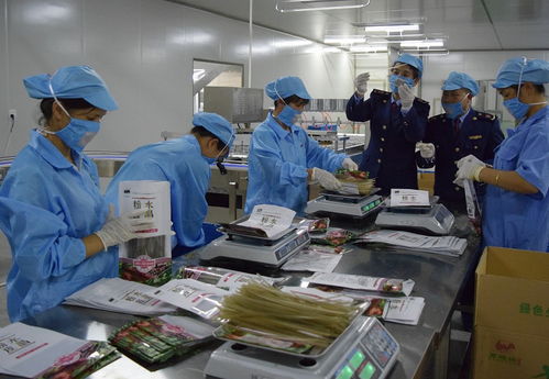 安全質(zhì)檢丨以法律為基石，筑牢質(zhì)量安全防線